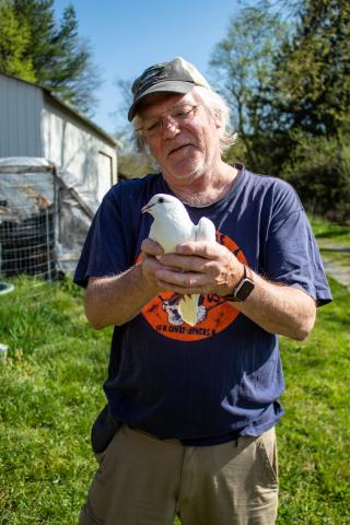Pete Thomas holding one of his homing pigeons.