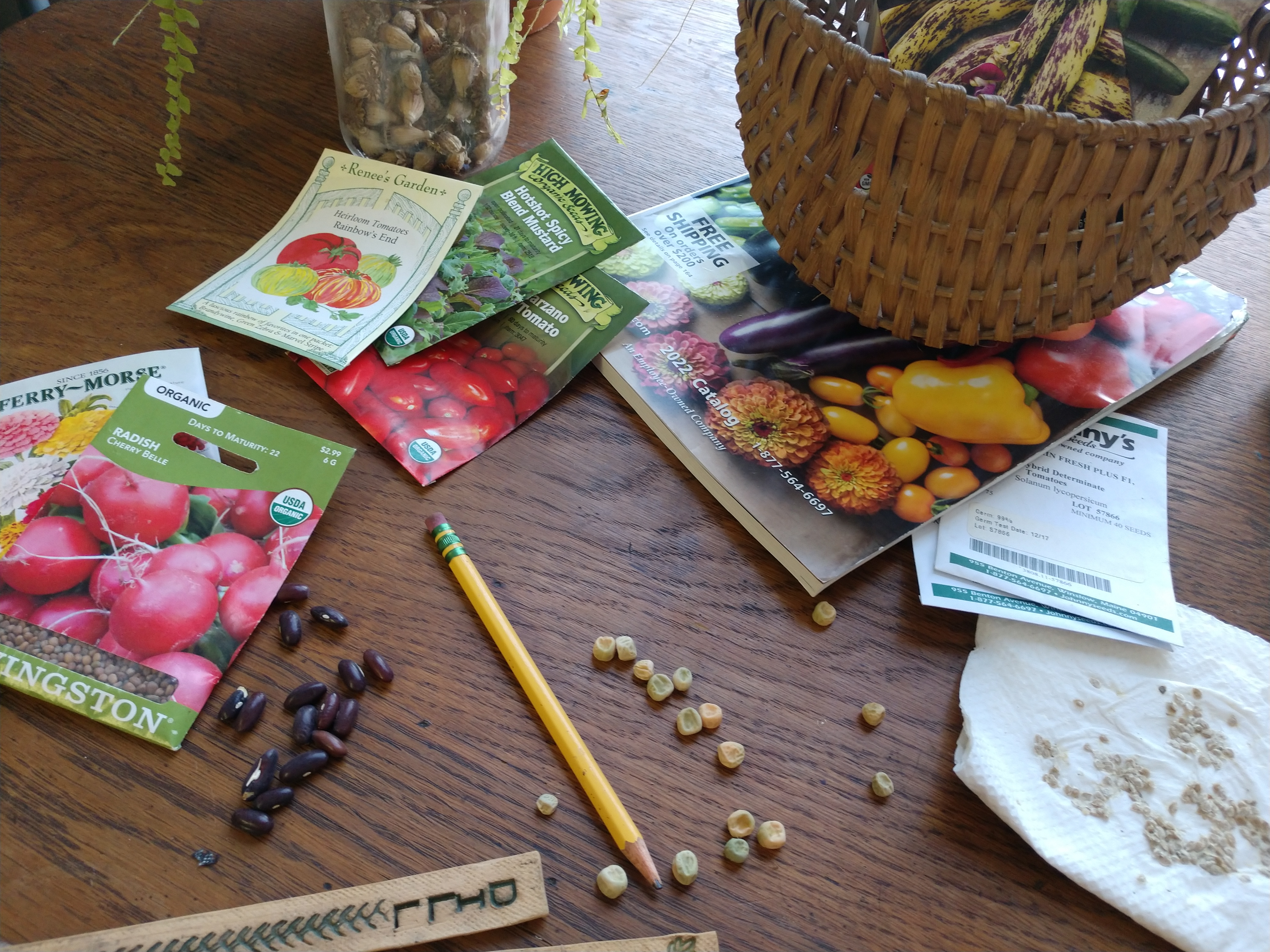Photo of various plant seeds and gardening material on a table.