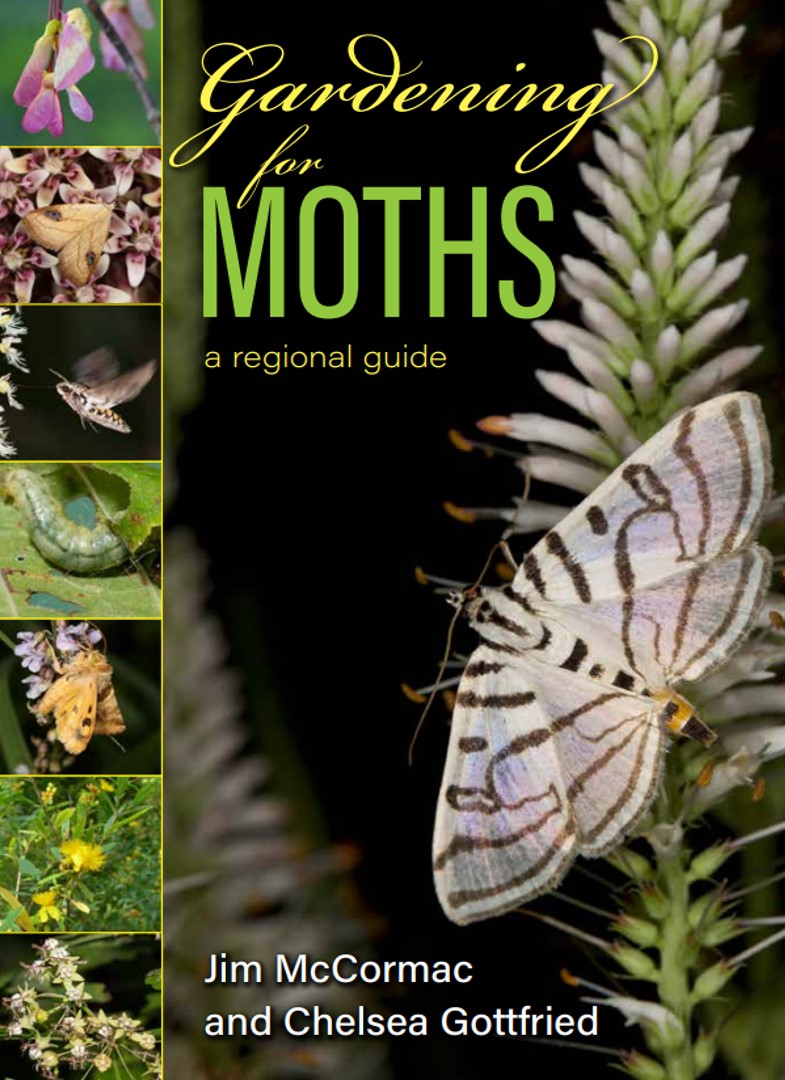 Cover image for the book Gardening for Moths by Jim McCormac and Chelsea Gottfried
