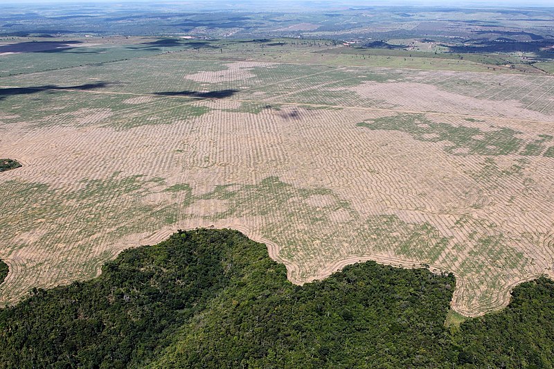 Photo of contemporary deforestation of Amazon Rainforest by  Felipe Werneck for Ascom/Ibama of Brazil.