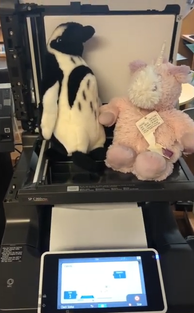 A penguin stuffie and a pink unicorn stuffie make a photocopy of their butts on the CPL printer.