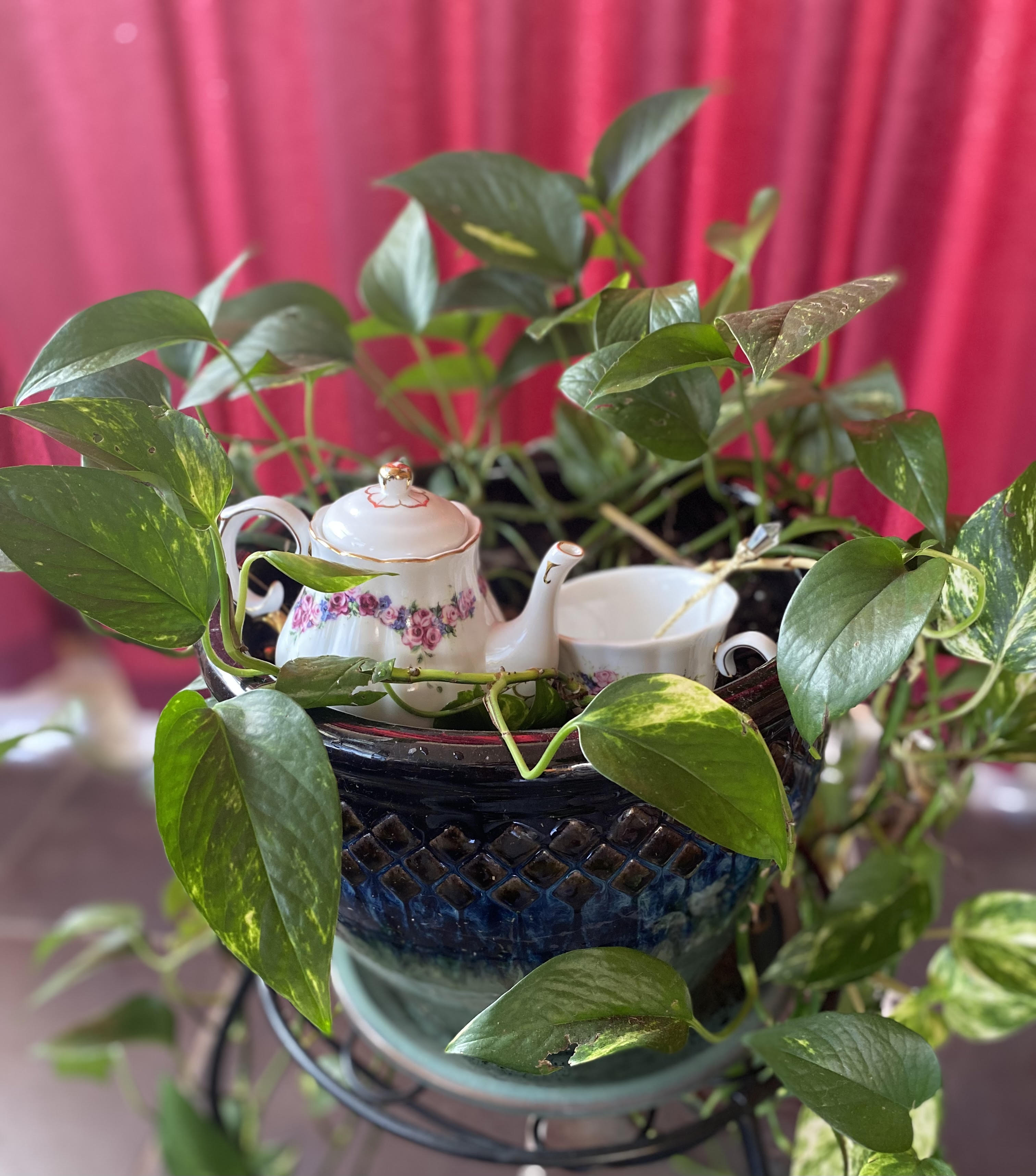 Houseplant with Tea Kettle and Tea Cup