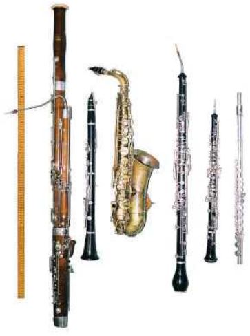 Sample array of various woodwind instruments.