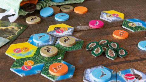 Photograph of board game pieces on a wooden table