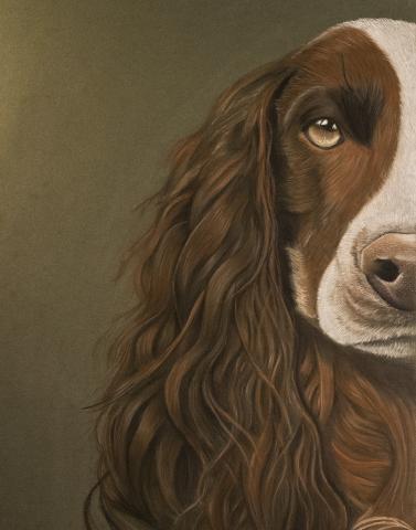 Dog portrait by featured artist, Ryan LaFever.