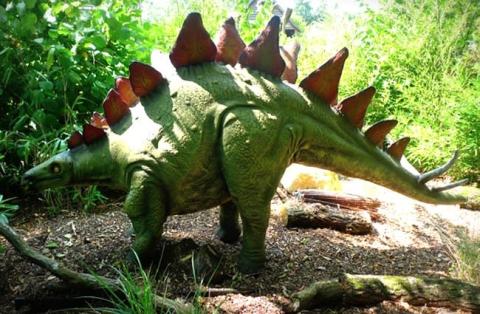 Stegosaurus