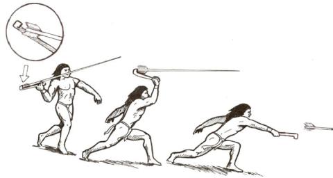 Diagram displaying how atlatl projectile weapon is used.