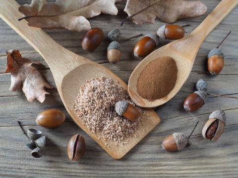 A picture of acorns next to flour made from them