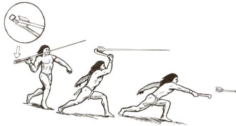 Diagram of atlatl technique.