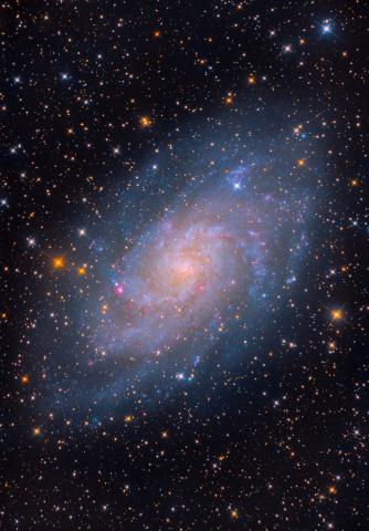 Image taken by guest speaker, Ryan Steere.