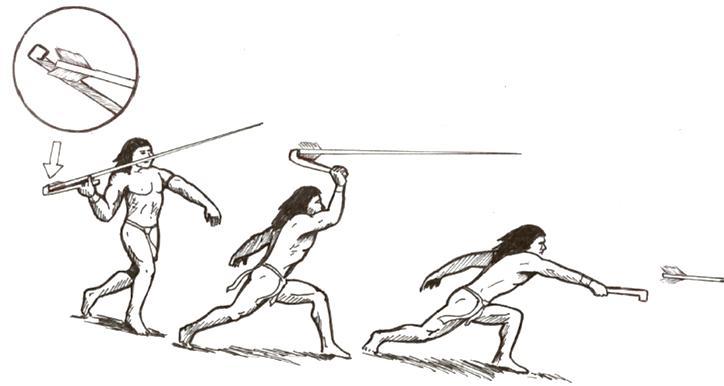 Diagram of launching an atlatl dart.