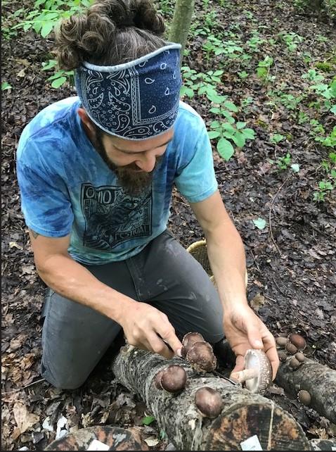 A picture of the presenter harvesting shiitake mushrooms.