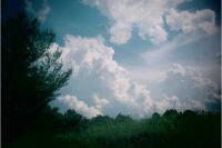 A photograph of white fluffy clouds in a blue sky with trees and green grass in the foreground