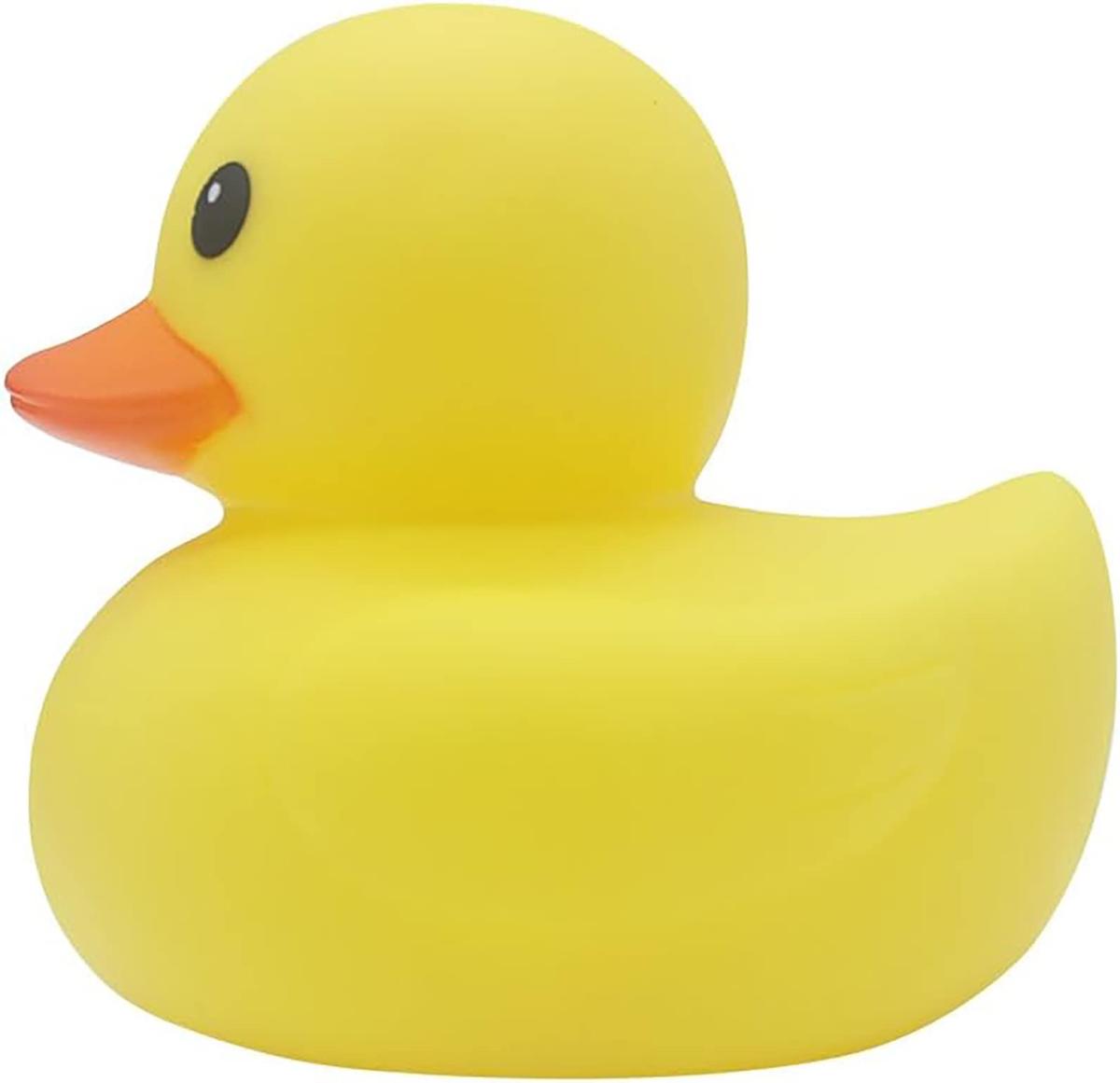 rubber duck