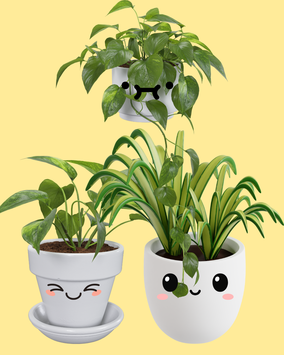 Three houseplants in white pots with cute, chibi-style faces against a pale yellow background