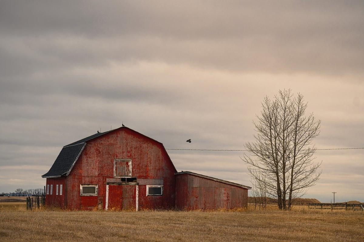 old barn