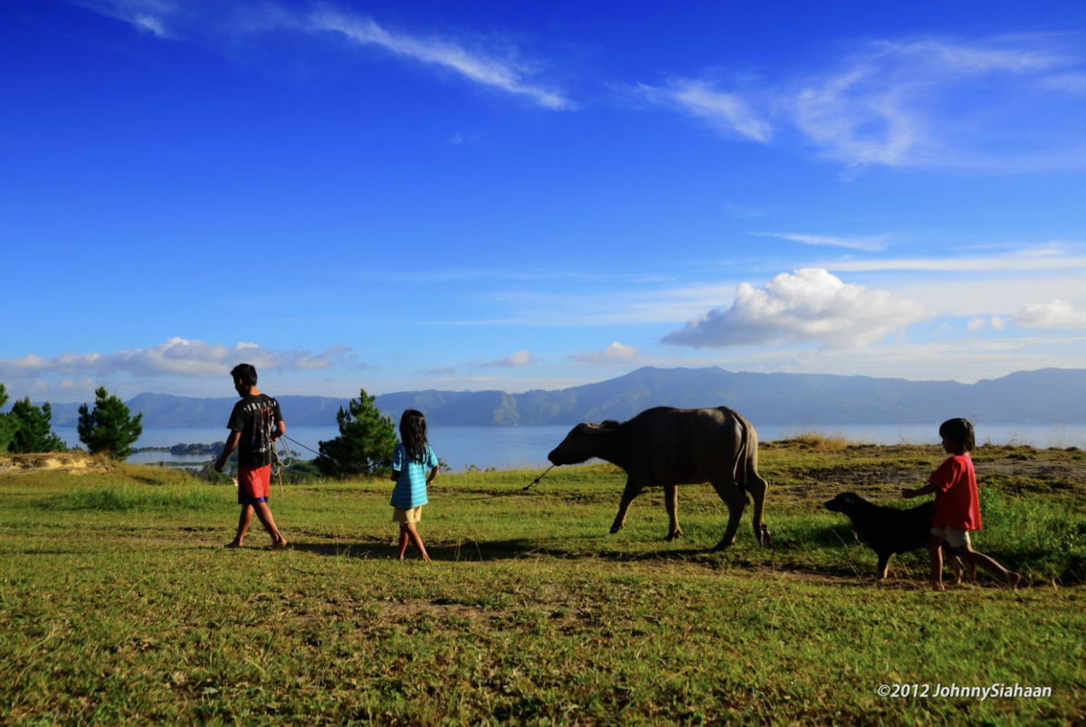 Rural scene of Indonesia, a source of music and poetry.