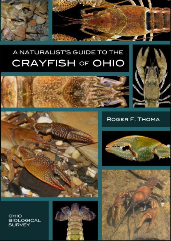 Image of book cover for featured author, Roger F. Thoma.